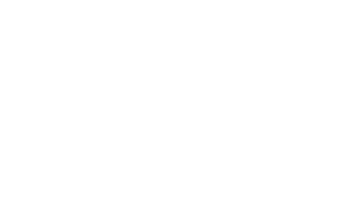 SonicDancer